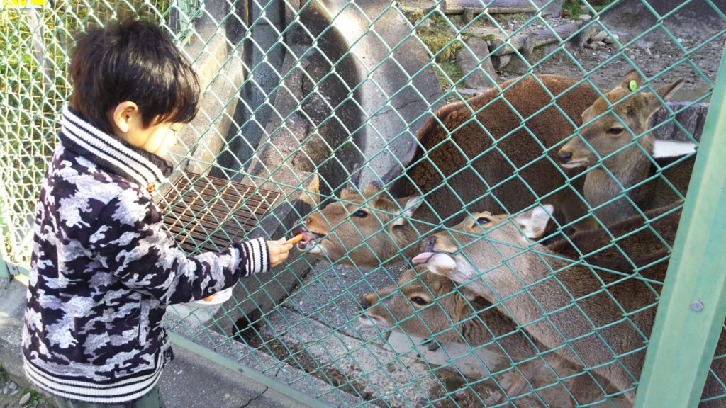 岡崎城へ子供とおでかけ